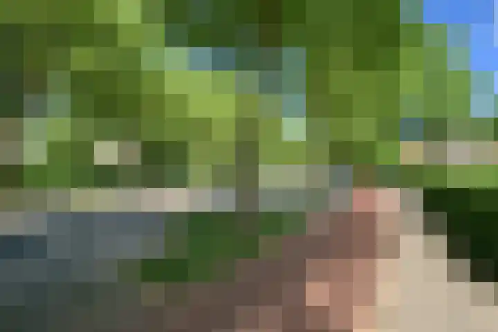 Beverweg 20 Breda thumbnail 52