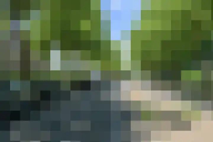 Beverweg 20 Breda thumbnail 54
