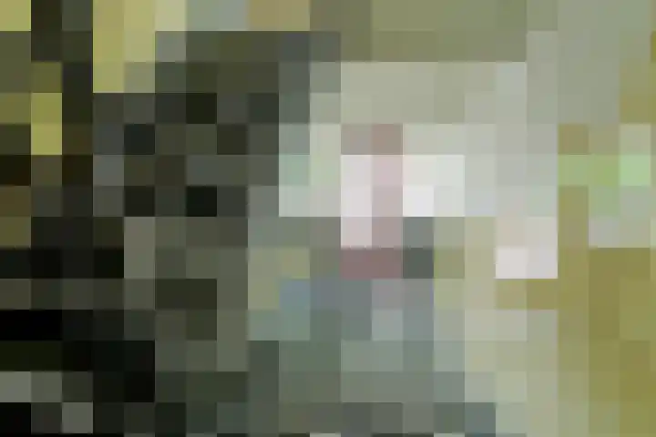 Beverweg 20 Breda thumbnail 8
