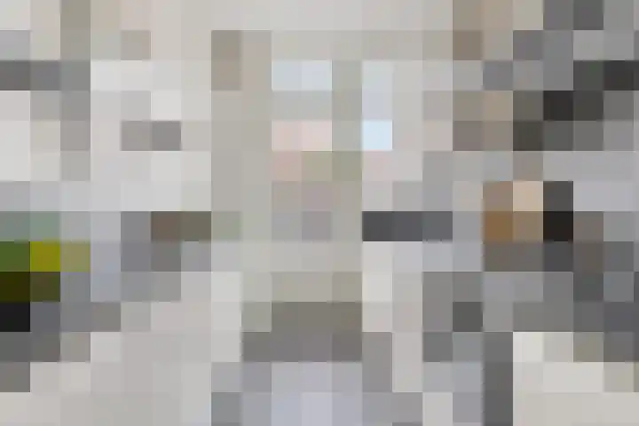 Beverweg 21 Breda thumbnail 11