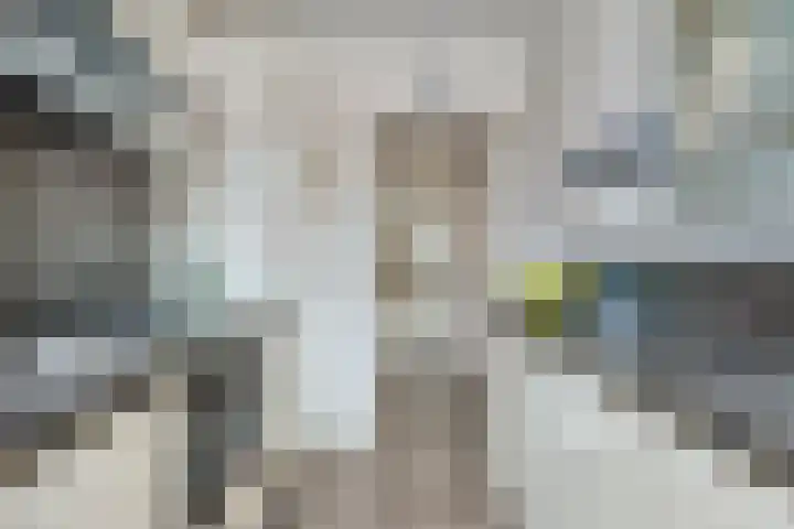 Beverweg 21 Breda thumbnail 12