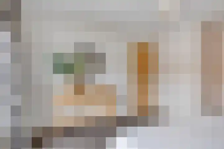 Beverweg 21 Breda thumbnail 15