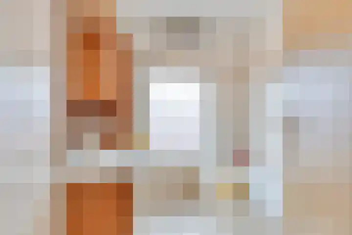 Beverweg 21 Breda thumbnail 16