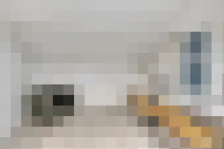 Beverweg 21 Breda thumbnail 24