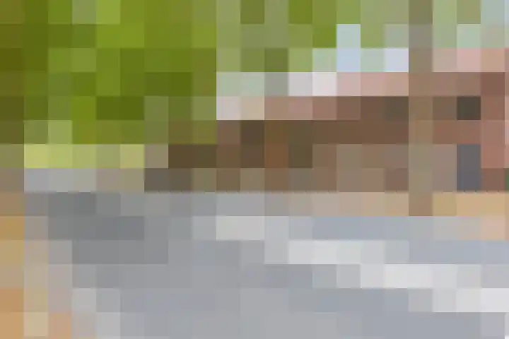 Beverweg 21 Breda thumbnail 29