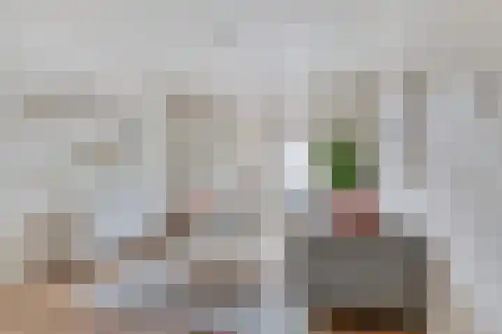 Beverweg 21 Breda thumbnail 5