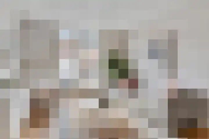 Beverweg 21 Breda thumbnail 6