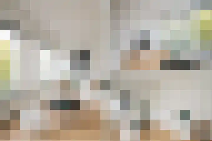 Beverweg 3 C Breda thumbnail 12