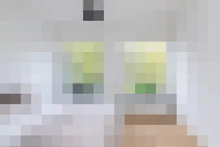Beverweg 3 C Breda thumbnail 4