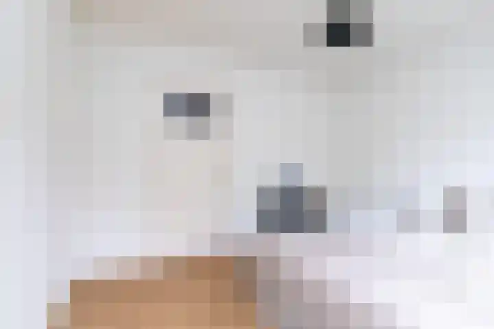 Beverweg 3 C Breda thumbnail 40