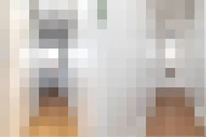 Beverweg 3 C Breda thumbnail 47