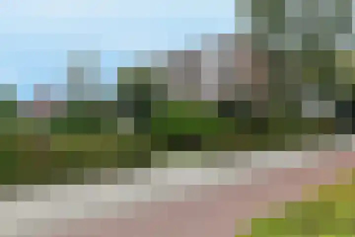 Beverweg 3 C Breda thumbnail 52