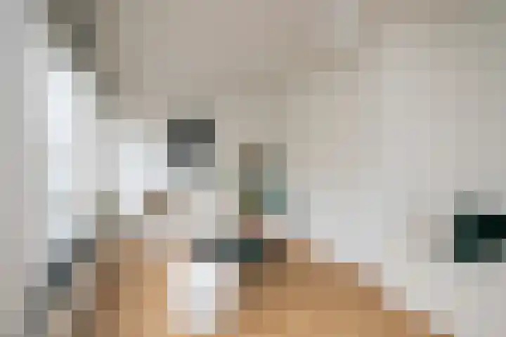 Beverweg 3 C Breda thumbnail 9
