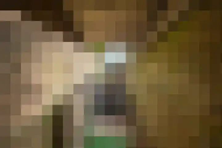 Beverweg 35 Nijmegen thumbnail 33