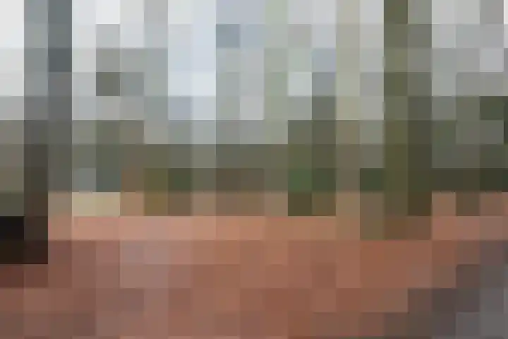 Beverweg 35 Nijmegen thumbnail 40