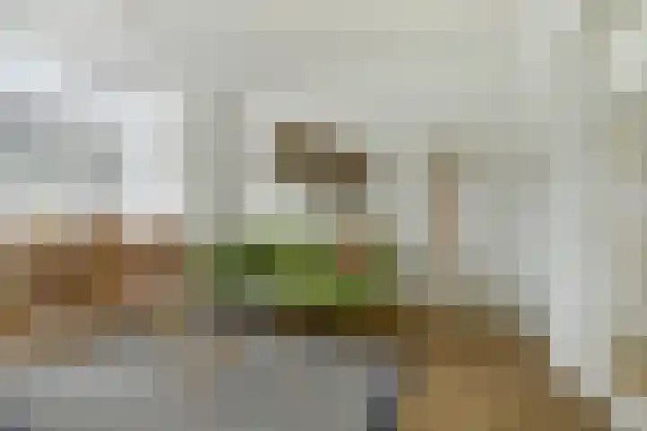 Beverweg 40 Nijmegen thumbnail 12