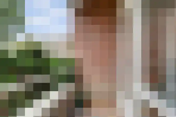Beverweg 40 Nijmegen thumbnail 24