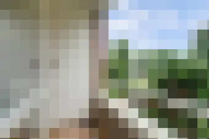 Beverweg 40 Nijmegen thumbnail 25