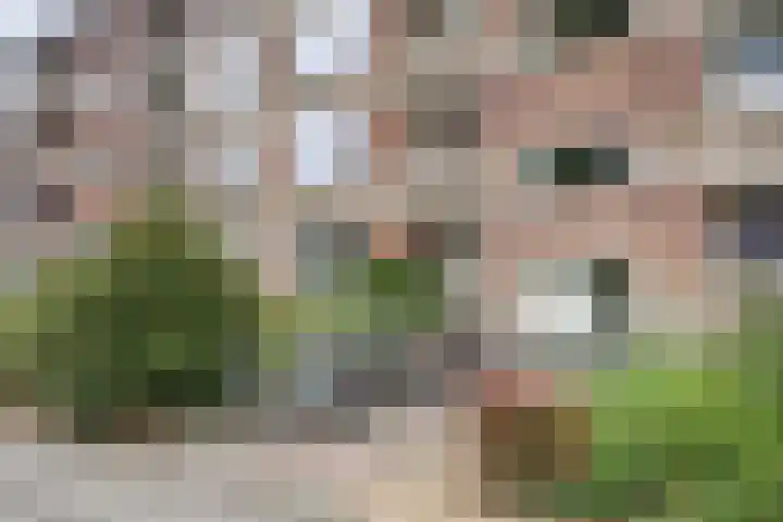 Beverweg 40 Nijmegen thumbnail 34
