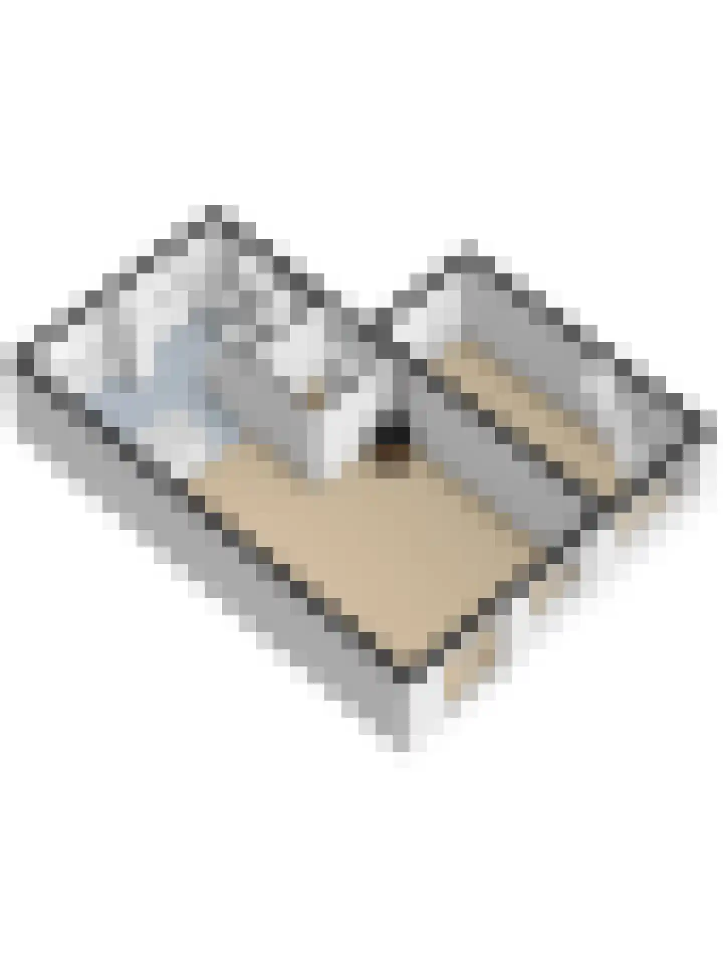 Beverweg 73 Breda thumbnail 31
