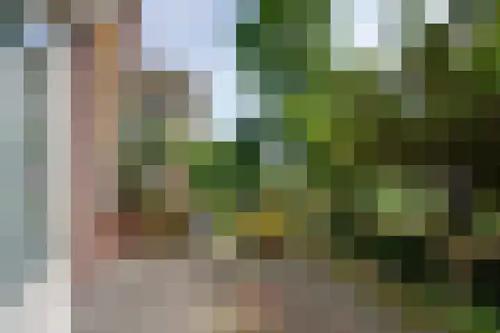 Beverweg 73 Breda thumbnail 40