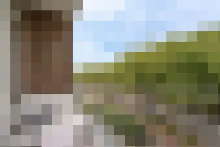 Beverweg 8 B Breda thumbnail 13