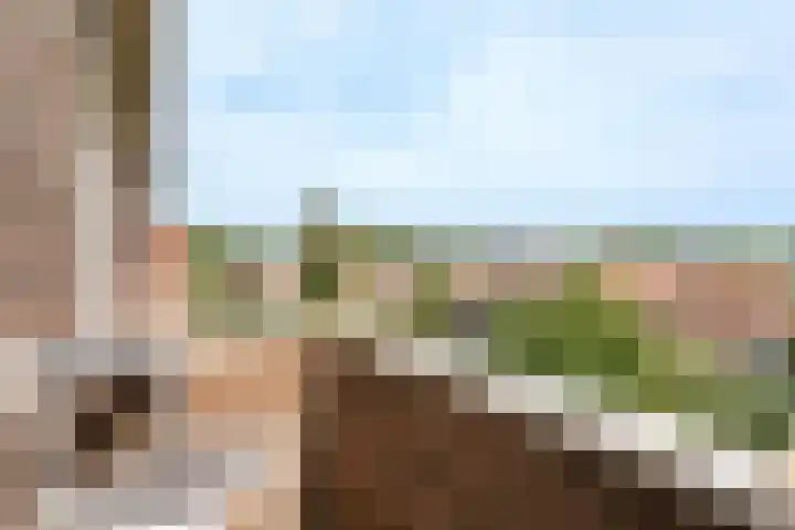 Beverweg 8 B Breda thumbnail 22
