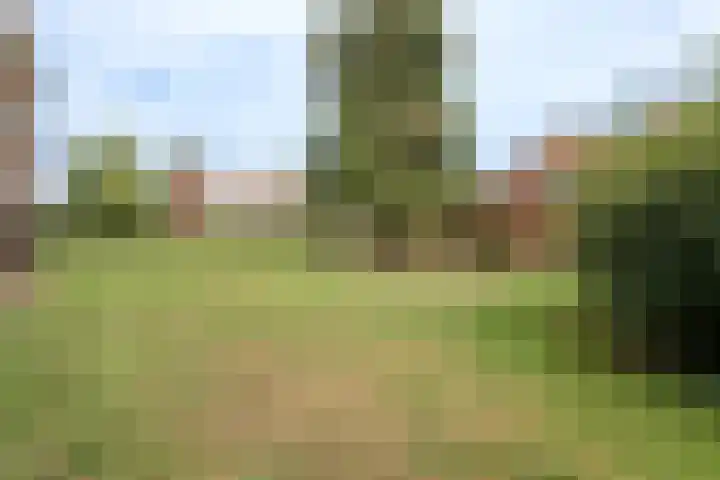 Beverweg 8 B Breda thumbnail 28