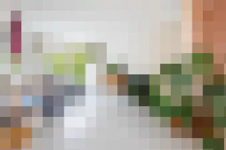 Beverweg 8 B Breda thumbnail 9