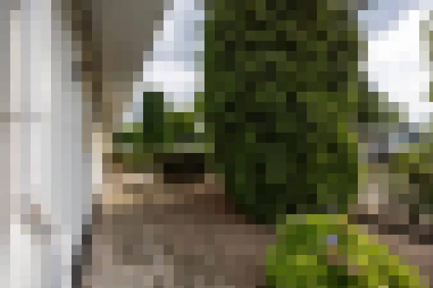 Beverweg 8 Nijmegen thumbnail 23