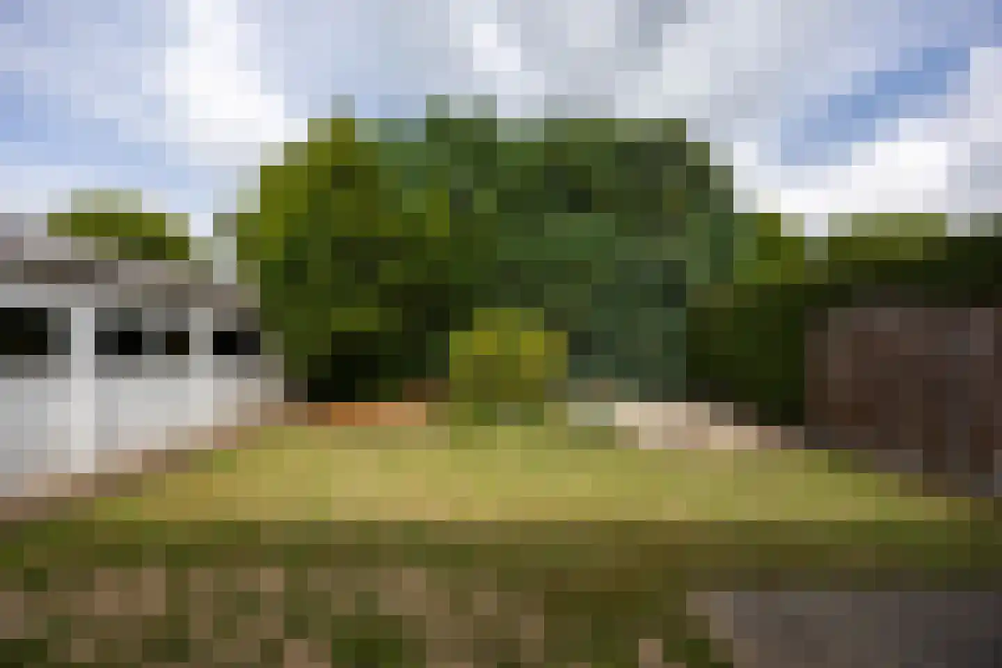 Beverweg 8 Nijmegen thumbnail 25
