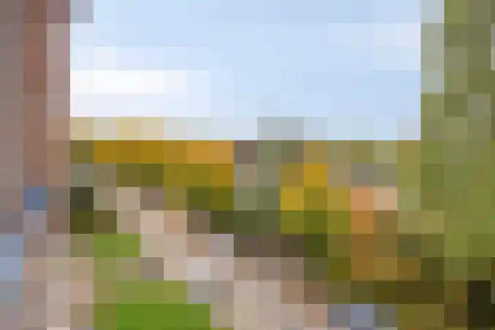 Beverweg 82 Nijmegen thumbnail 14
