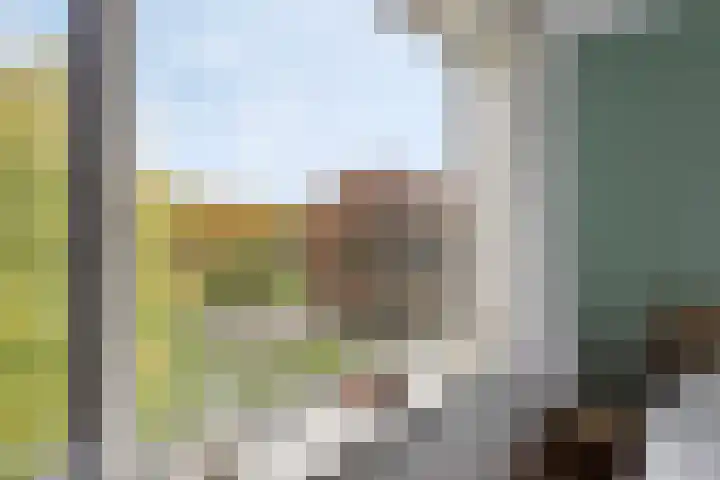 Beverweg 82 Nijmegen thumbnail 18