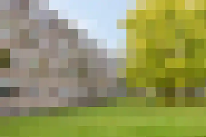 Beverweg 82 Nijmegen thumbnail 19
