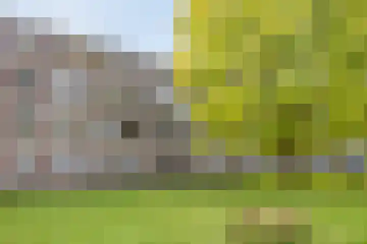 Beverweg 82 Nijmegen thumbnail 24