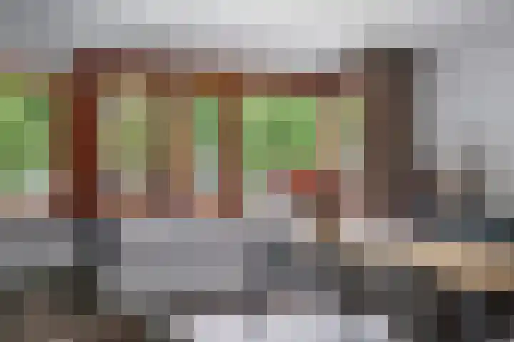 Beverweg 83 Breda thumbnail 15