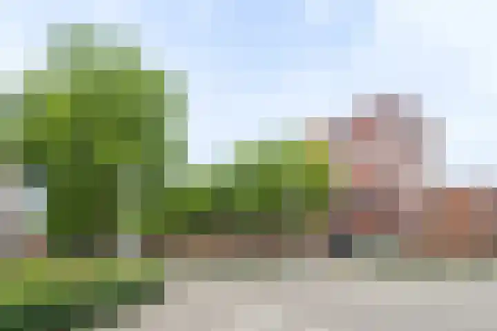 Beverweg 83 Breda thumbnail 33