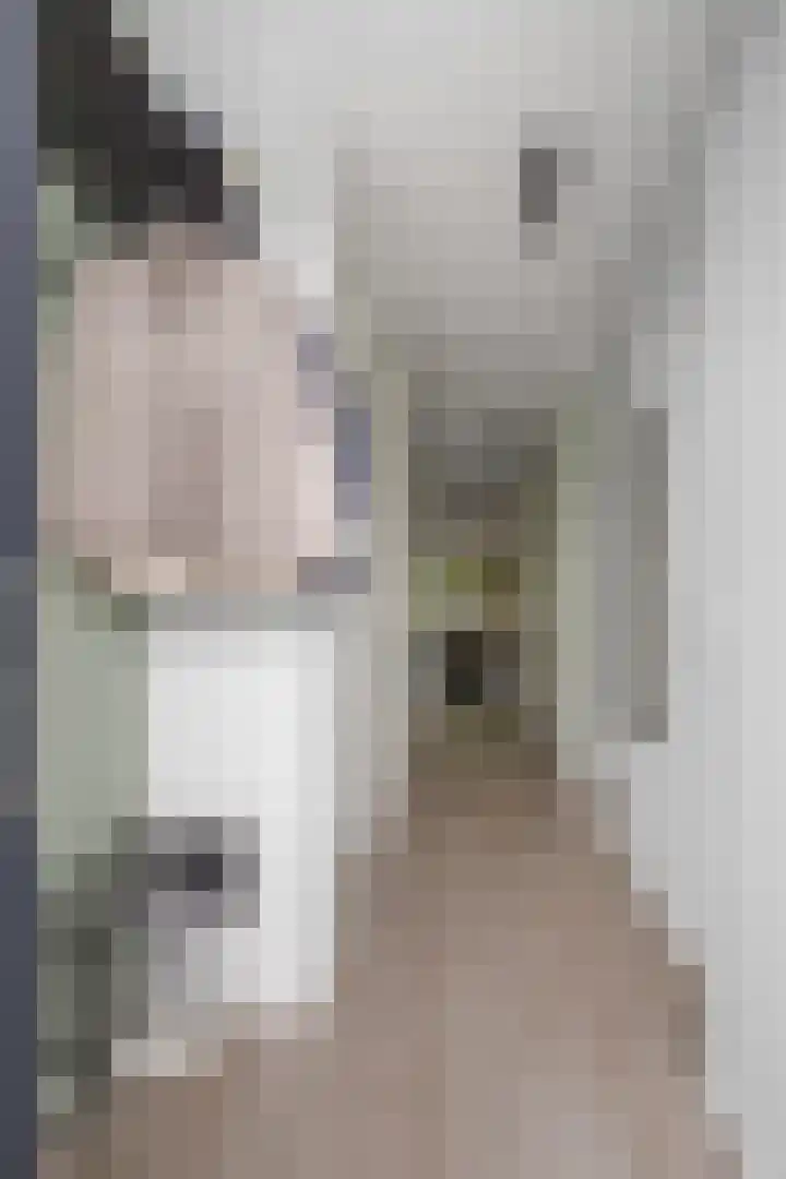 Beverweg 83 Breda thumbnail 8