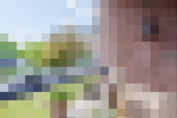 Beverweg 88 Nijmegen thumbnail 16