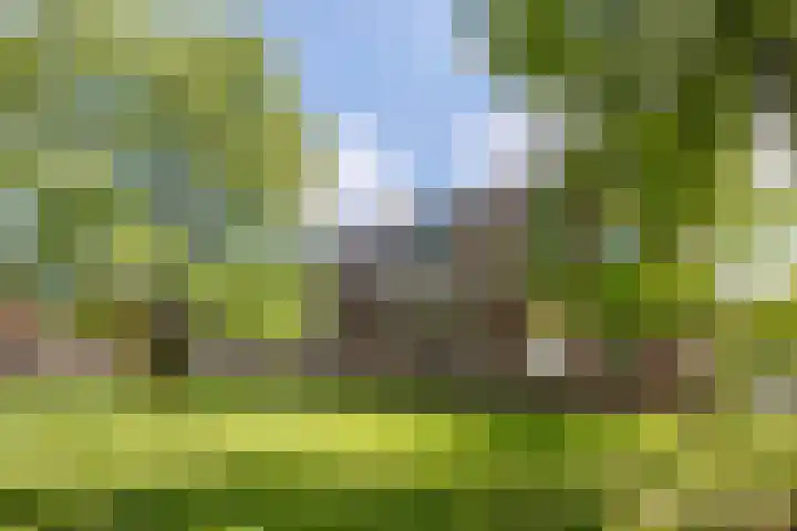 Beverweg 88 Nijmegen thumbnail 30