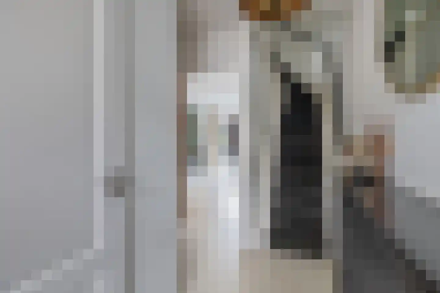 Beverweide 2 Veghel thumbnail 14