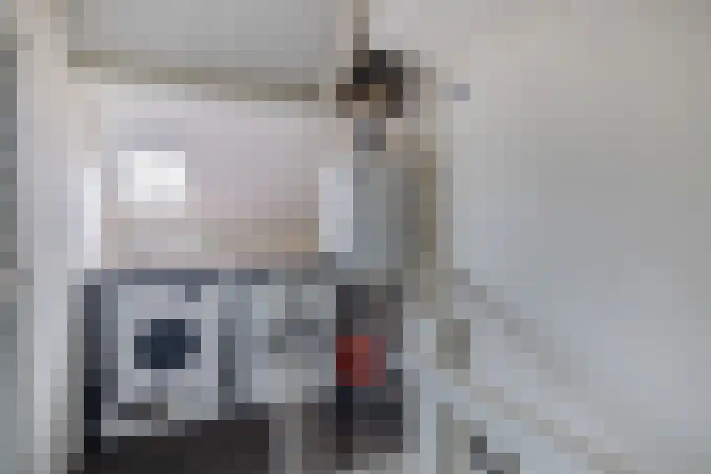 Beverweide 2 Veghel thumbnail 23
