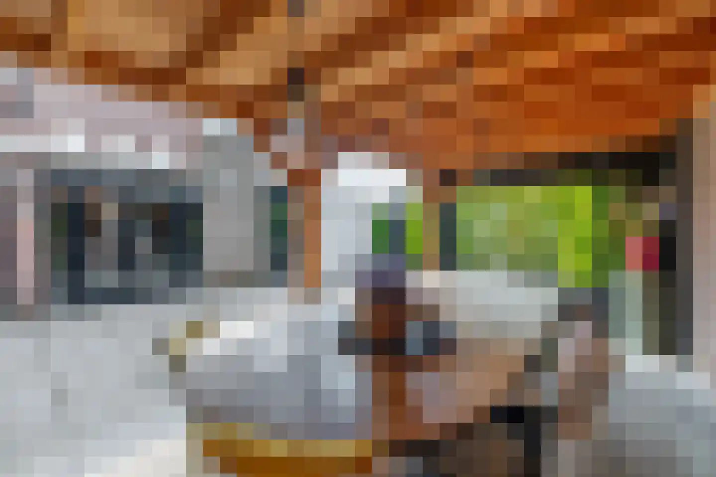 Beverweide 2 Veghel thumbnail 30