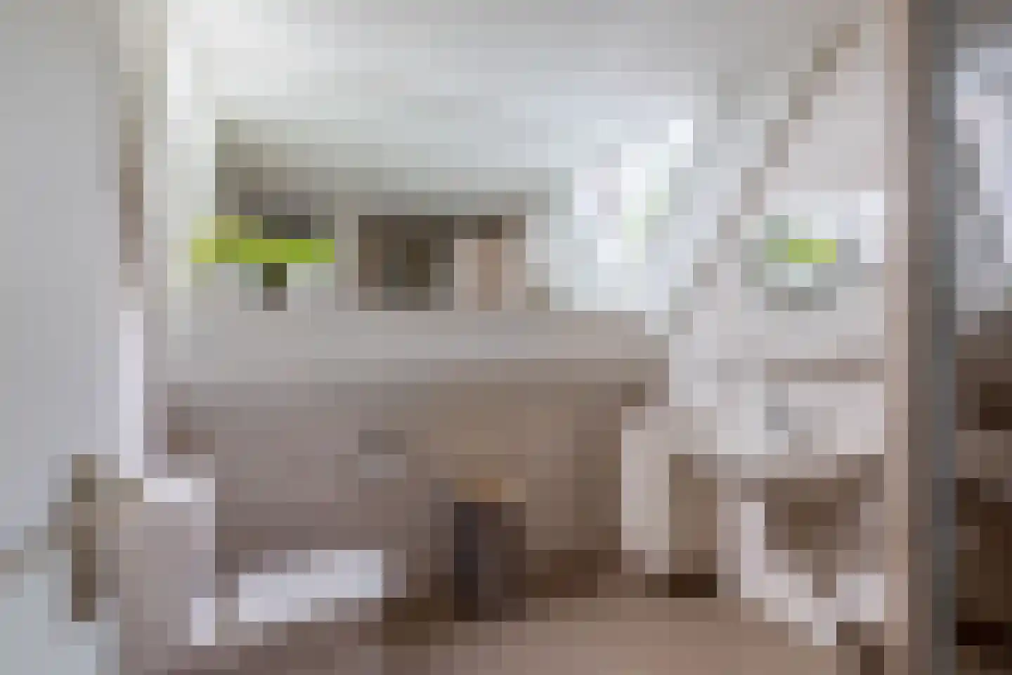 Beverweide 27 Veghel thumbnail 18