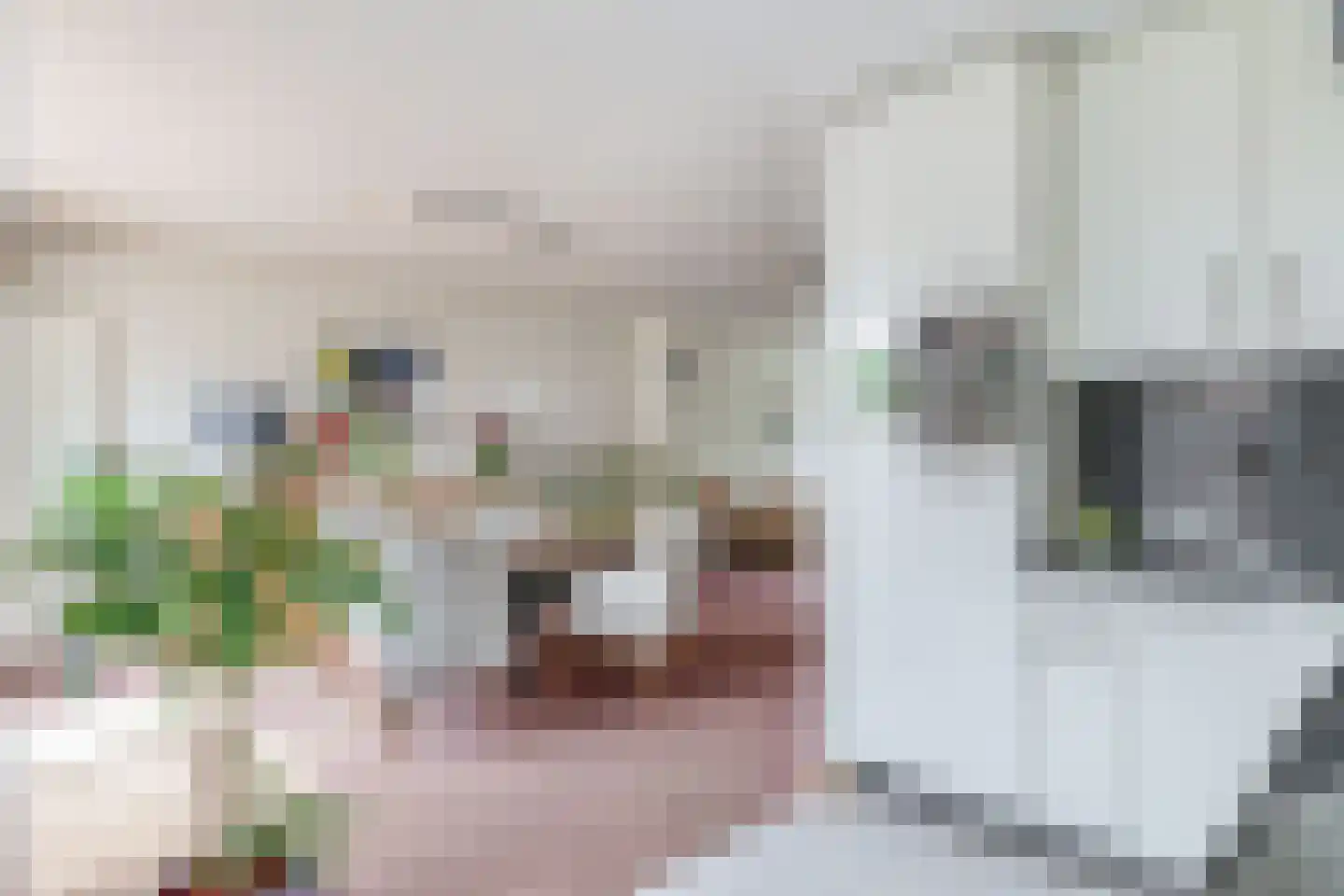 Beverweide 27 Veghel thumbnail 8