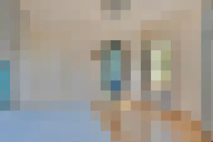 Beverwijckstraat 7 Dordrecht thumbnail 34