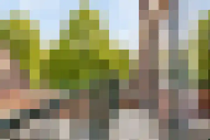Beverwijckstraat 7 Dordrecht thumbnail 42