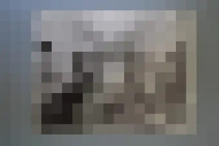 Beverwijckstraat 7 Dordrecht thumbnail 69