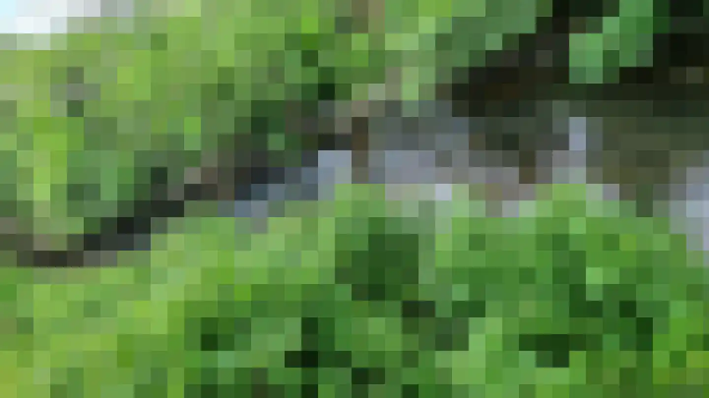 Beverwijk 2 2 Beverwijk thumbnail 11