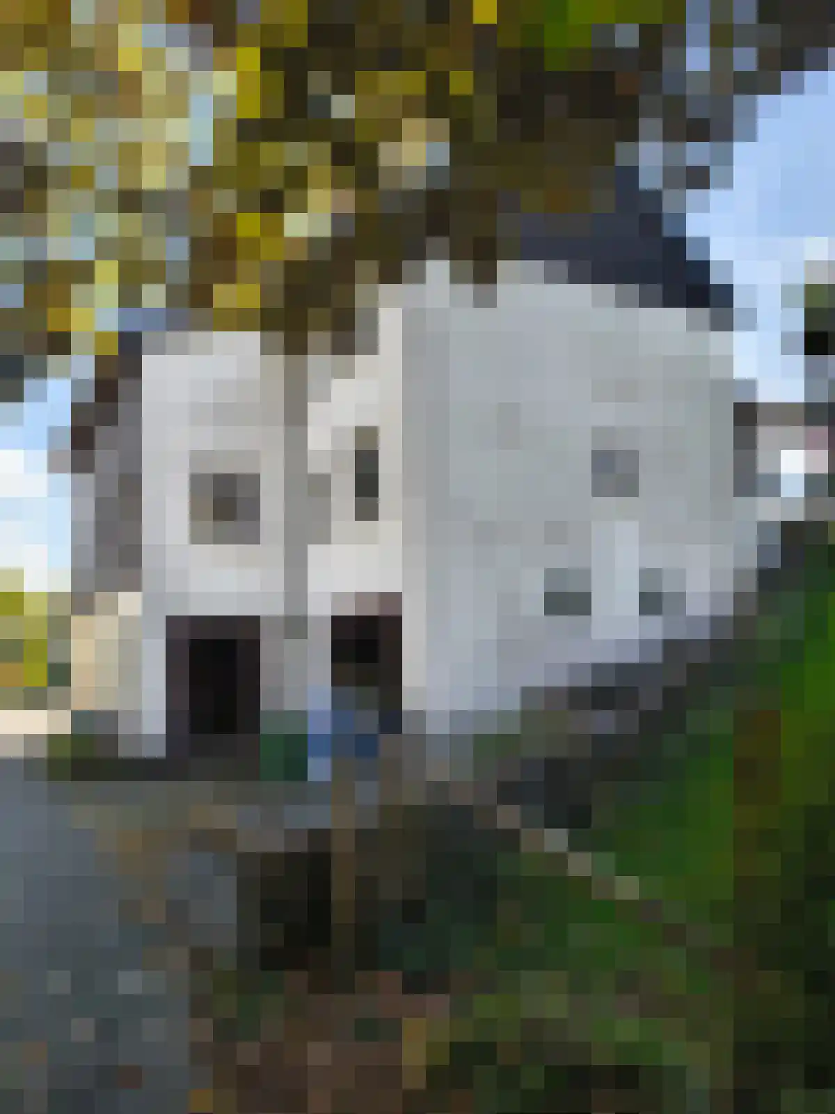 Beverwijk 2 2 Beverwijk thumbnail 25
